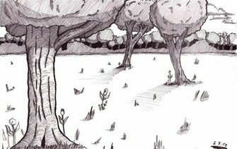 Forest Drawing Background By Rookiemangaka Traditional Art Drawings