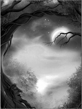 Screensavers And Wallpaper For Kindle