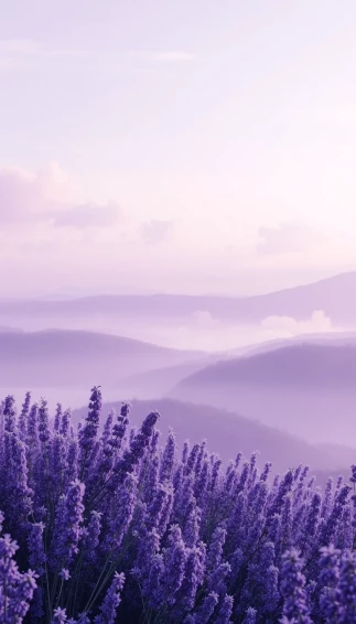 Purple Aesthetic Wallpaper
