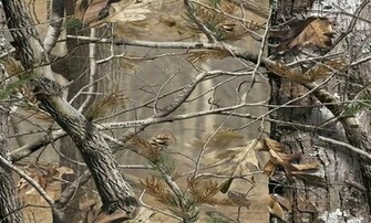 Camo Desktop Wallpaper