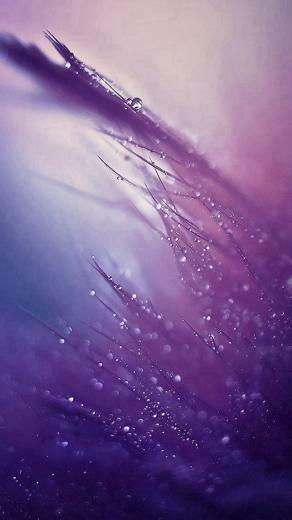 This Is A Parallax Wallpaper If You Need Normal Retina