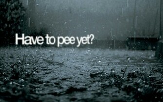Humor HD Wallpaper