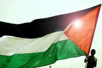 The Palestine Flag