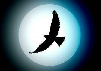 Birds Silhouette Wallpaper