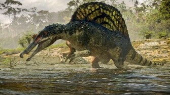 Spinosaurus Wallpaper For The Is