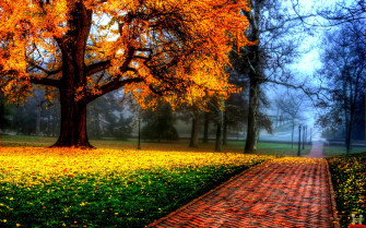 Beautiful Wallpaper HD