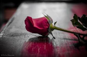 Broken Love By Deoiron