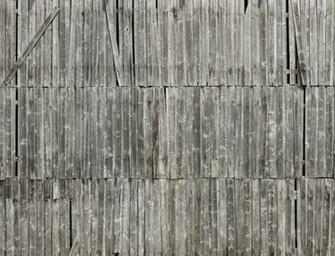 Wood Wallpaper By Tom Haga Wallcovering
