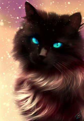Cute Photos Of Kittens Cat Drawing Black