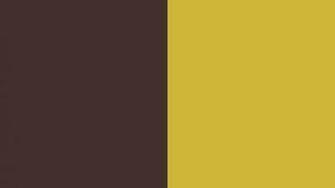 Resolution Old Burgundy And Gold Solid Two Color