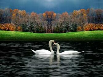 Nature Wallpaper Beautiful