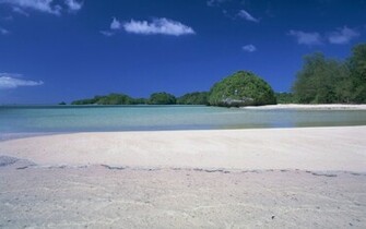 Hawaii Beach Wallpaper Print Poster S Aquamarine Sea And