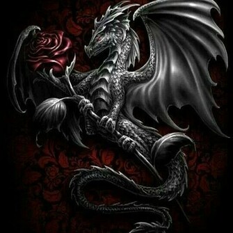 Dragons And Rose Angels Photo
