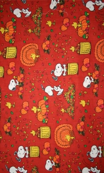 Snoopy Thanksgiving Myspace Layouts Profiles And Background