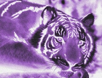 Purple And Black Wallpaper