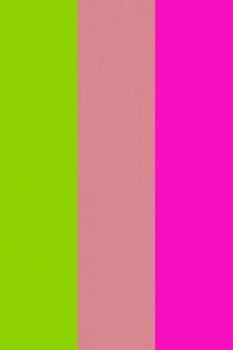Sheen Green Shimmering Blush And Shocking Pink Three Color Background