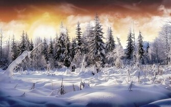 Beautiful Snow Wallpaper Photo And Picture Nature