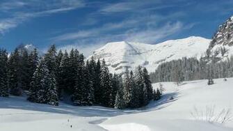 Winter Landscape Wallpaper Landscapes Painting