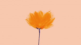 Minimalist Flower Computer Wallpaper