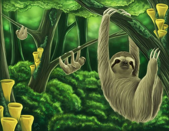 Funny Sloth Animal Pictures