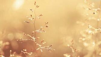 HD Dreamy Wallpaper Desktop 4k