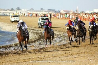 Beautiful Wallpaper Racing Horse
