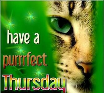 Thursday Graphics20