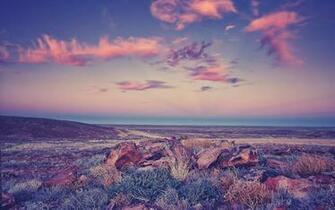 Landscape Purple Wallpaper