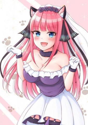 Anime Cat Girl HD Wallpaper And Background