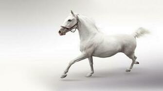 White Horse Wallpaper
