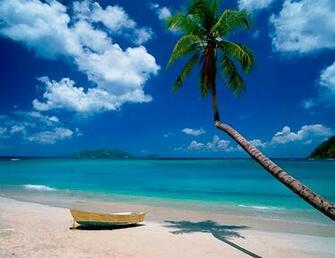 Beach And Tropical Murals Scene Wallpaper