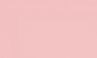 Free download Installing this Baby Pink Roses iPhone Wallpaper is very ...