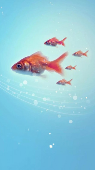 Fishing Wallpaper For iPhone