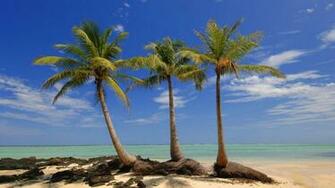 Kelly Madagascar Wallpaper HD