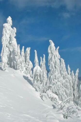 Winter Wallpaper For iPhone