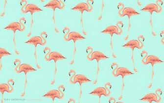 Flamingo HD Background Net