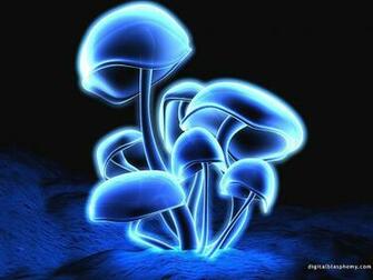 Shrooms Publish With Glogster