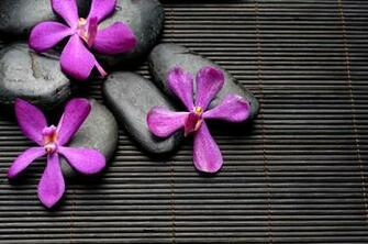 Top Flowers Stones Zen Wallpaper Image For
