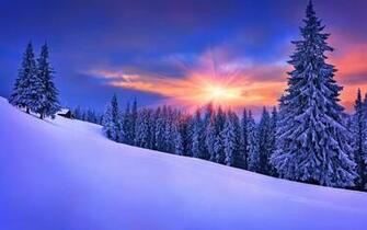 Wallpaper Winter Snow Pine Tree Forest Sunset Desktop