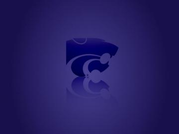 Powercat Reflection For Your Desktop