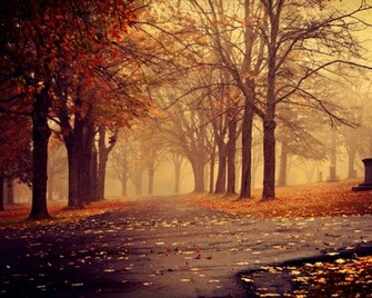 Park In Autumn Desktop Pc And Mac Wallpaper