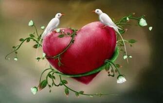 Love Birds Beautiful Bird Dove Doves Flower Flowers