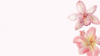 Summer Aesthetic Laptop Wallpaper Artofit
