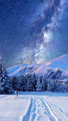 Winter Background Wallpaper