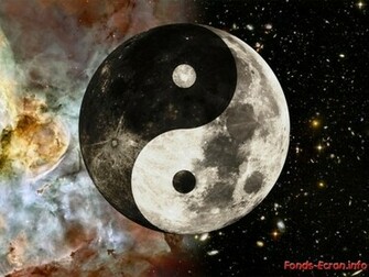 Fond D Cran Ying Yang Wallpaper