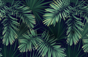 Plant Aesthetic Laptop Wallpaper