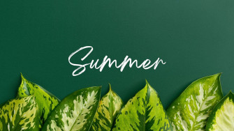Green Plants Wallpaper