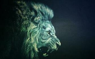 Colorful Lion Wallpaper Agressive