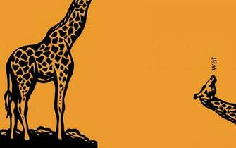 Giraffe Wallpaper High Quality And Resolution