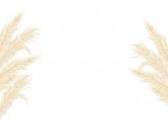 Pampas Grass Background In The Edge Wallpaper
